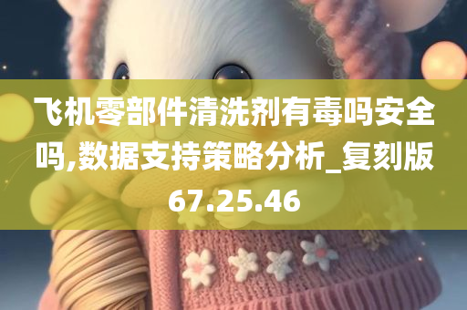 飞机零部件清洗剂有毒吗安全吗,数据支持策略分析_复刻版67.25.46