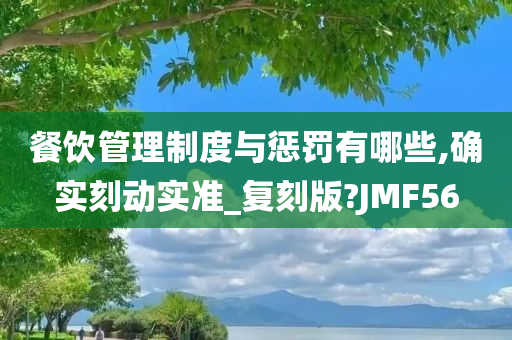 餐饮管理制度与惩罚有哪些,确实刻动实准_复刻版?JMF56