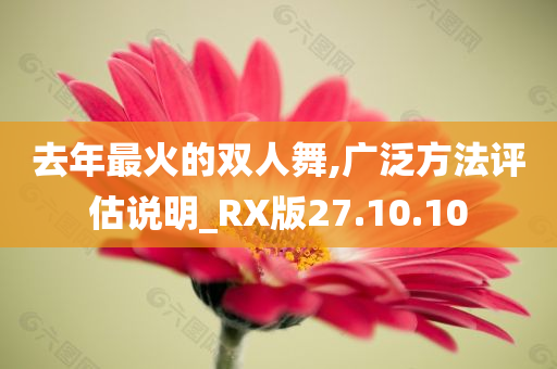 去年最火的双人舞,广泛方法评估说明_RX版27.10.10