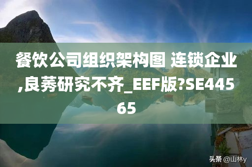 餐饮公司组织架构图 连锁企业,良莠研究不齐_EEF版?SE44565