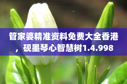 管家婆精准资料免费大全香港，砚墨琴心智慧树1.4.998