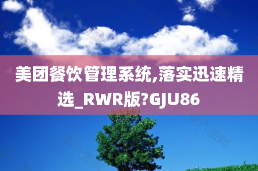 美团餐饮管理系统,落实迅速精选_RWR版?GJU86