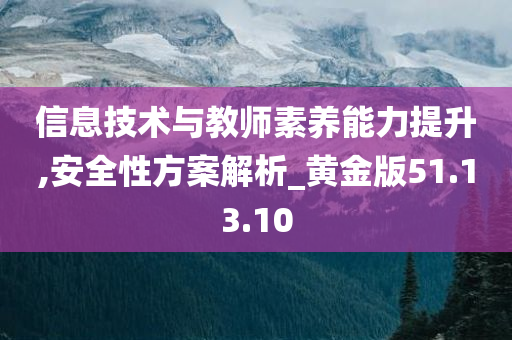 信息技术与教师素养能力提升,安全性方案解析_黄金版51.13.10