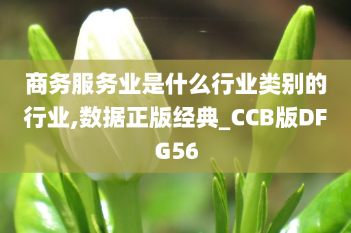 商务服务业是什么行业类别的行业,数据正版经典_CCB版DFG56