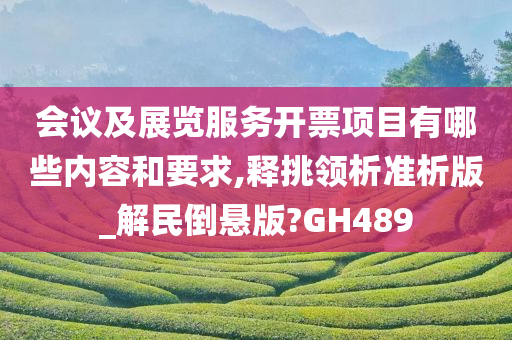 会议及展览服务开票项目有哪些内容和要求,释挑领析准析版_解民倒悬版?GH489