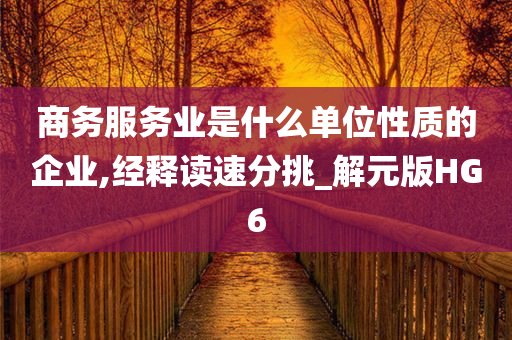 商务服务业是什么单位性质的企业,经释读速分挑_解元版HG6