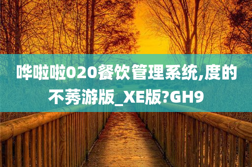 哗啦啦020餐饮管理系统,度的不莠游版_XE版?GH9