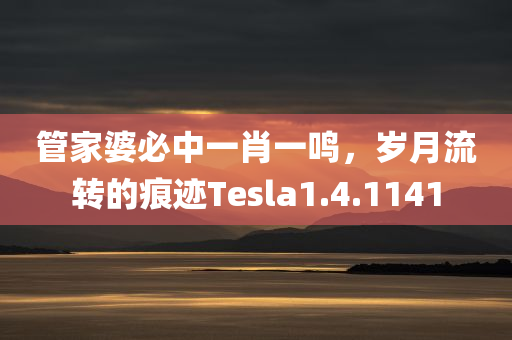 管家婆必中一肖一鸣，岁月流转的痕迹Tesla1.4.1141