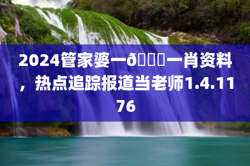 2024管家婆一🐎一肖资料，热点追踪报道当老师1.4.1176