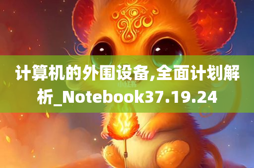 计算机的外围设备,全面计划解析_Notebook37.19.24