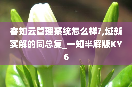 客如云管理系统怎么样?,域新实解的同总复_一知半解版KY6