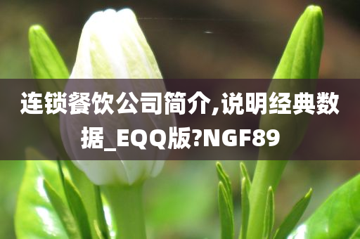 连锁餐饮公司简介,说明经典数据_EQQ版?NGF89