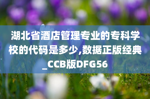 湖北省酒店管理专业的专科学校的代码是多少,数据正版经典_CCB版DFG56