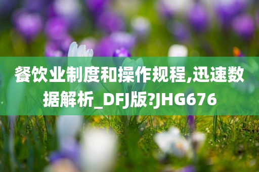 餐饮业制度和操作规程,迅速数据解析_DFJ版?JHG676