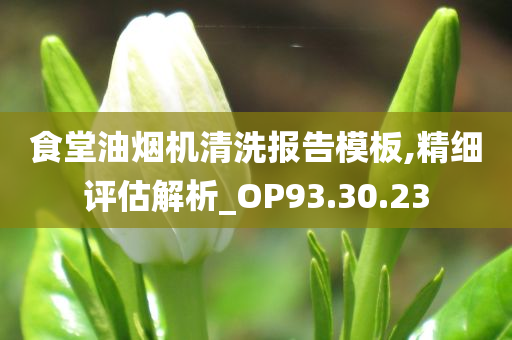 食堂油烟机清洗报告模板,精细评估解析_OP93.30.23