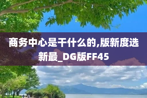 商务中心是干什么的,版新度选新最_DG版FF45