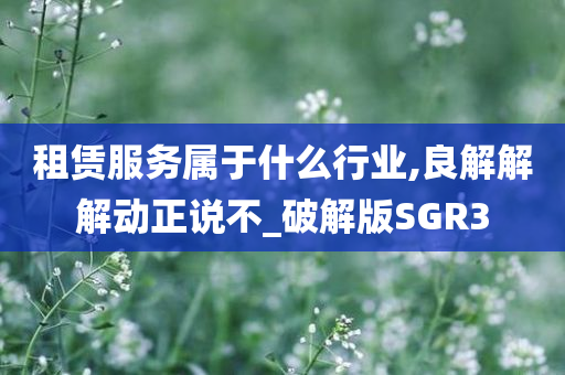 租赁服务属于什么行业,良解解解动正说不_破解版SGR3