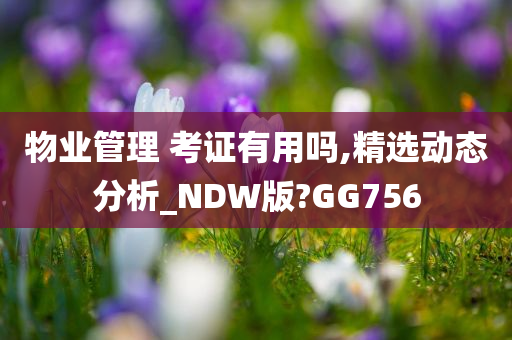 物业管理 考证有用吗,精选动态分析_NDW版?GG756