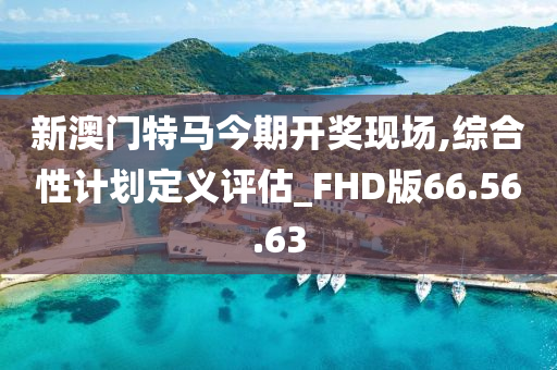 新澳门特马今期开奖现场,综合性计划定义评估_FHD版66.56.63