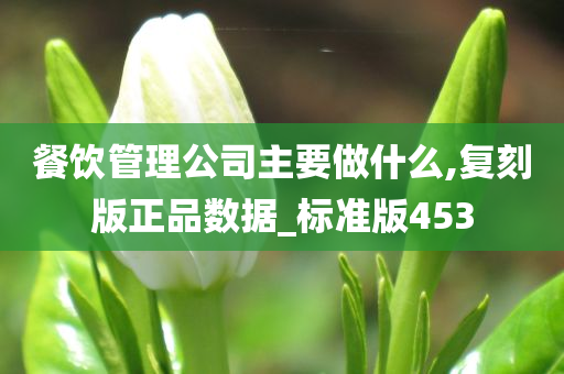 餐饮管理公司主要做什么,复刻版正品数据_标准版453