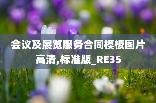 会议及展览服务合同模板图片高清,标准版_RE35