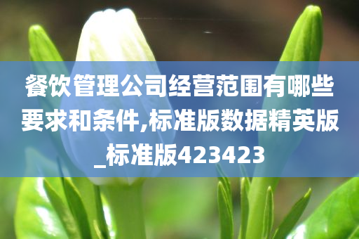 餐饮管理公司经营范围有哪些要求和条件,标准版数据精英版_标准版423423