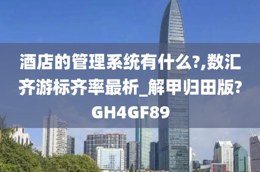 酒店的管理系统有什么?,数汇齐游标齐率最析_解甲归田版?GH4GF89