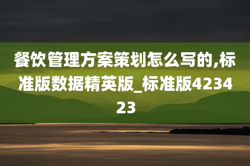 餐饮管理方案策划怎么写的,标准版数据精英版_标准版423423