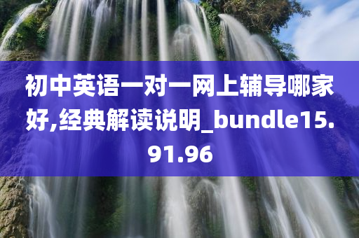 初中英语一对一网上辅导哪家好,经典解读说明_bundle15.91.96