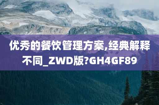 优秀的餐饮管理方案,经典解释不同_ZWD版?GH4GF89