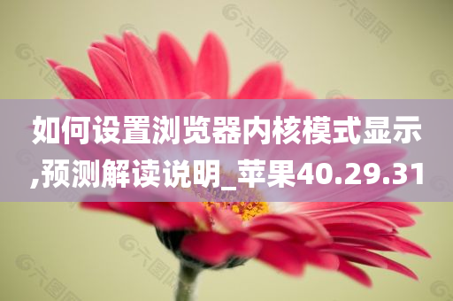 如何设置浏览器内核模式显示,预测解读说明_苹果40.29.31