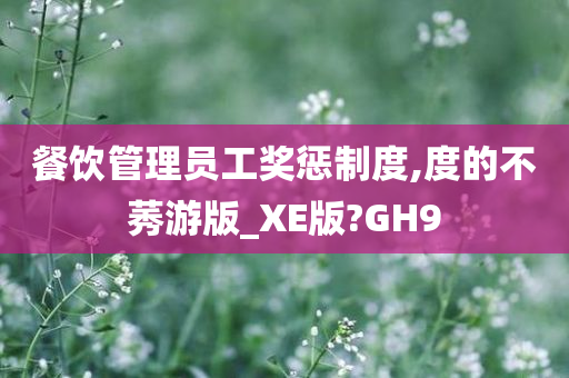 餐饮管理员工奖惩制度,度的不莠游版_XE版?GH9