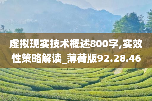 虚拟现实技术概述800字,实效性策略解读_薄荷版92.28.46