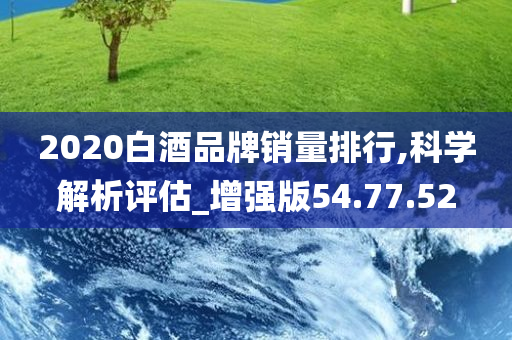 2020白酒品牌销量排行,科学解析评估_增强版54.77.52