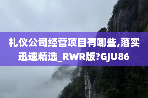 礼仪公司经营项目有哪些,落实迅速精选_RWR版?GJU86