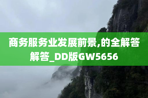 商务服务业发展前景,的全解答解答_DD版GW5656