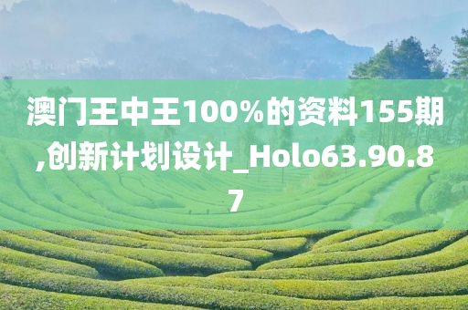 澳门王中王100%的资料155期,创新计划设计_Holo63.90.87