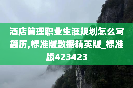 酒店管理职业生涯规划怎么写简历,标准版数据精英版_标准版423423