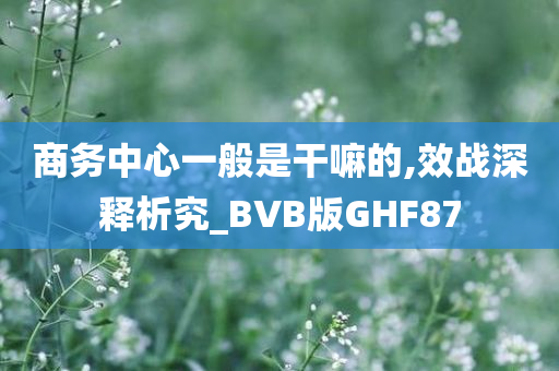 商务中心一般是干嘛的,效战深释析究_BVB版GHF87