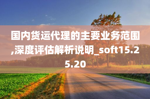 国内货运代理的主要业务范围,深度评估解析说明_soft15.25.20