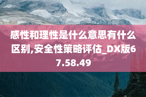 感性和理性是什么意思有什么区别,安全性策略评估_DX版67.58.49