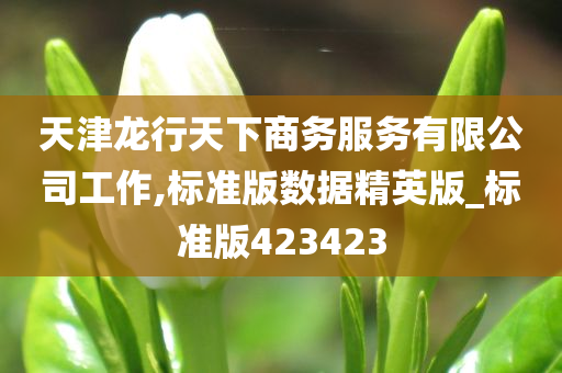 天津龙行天下商务服务有限公司工作,标准版数据精英版_标准版423423