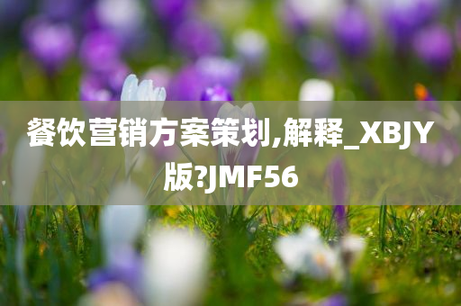 餐饮营销方案策划,解释_XBJY版?JMF56