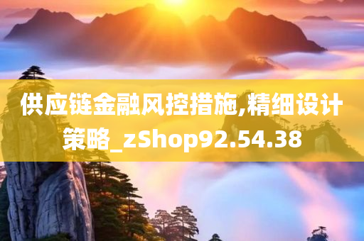 供应链金融风控措施,精细设计策略_zShop92.54.38