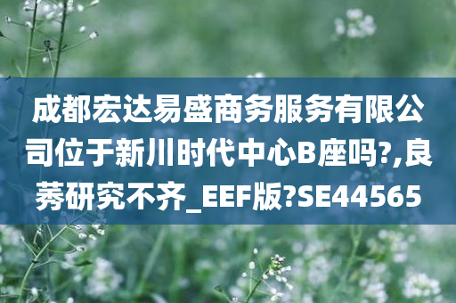 成都宏达易盛商务服务有限公司位于新川时代中心B座吗?,良莠研究不齐_EEF版?SE44565