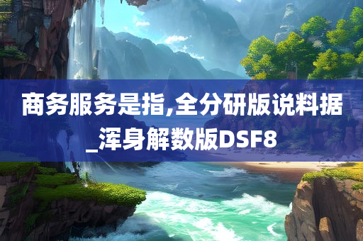 商务服务是指,全分研版说料据_浑身解数版DSF8