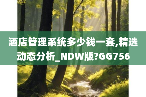 酒店管理系统多少钱一套,精选动态分析_NDW版?GG756