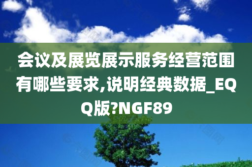 会议及展览展示服务经营范围有哪些要求,说明经典数据_EQQ版?NGF89