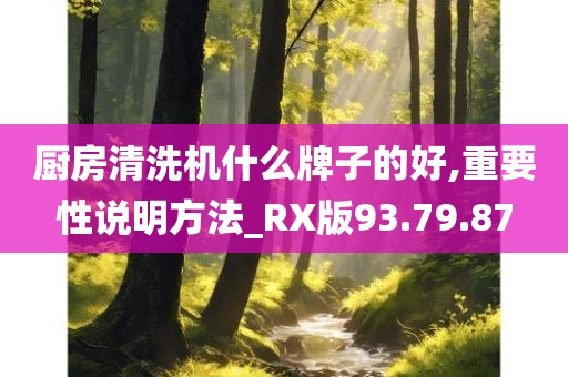 厨房清洗机什么牌子的好,重要性说明方法_RX版93.79.87