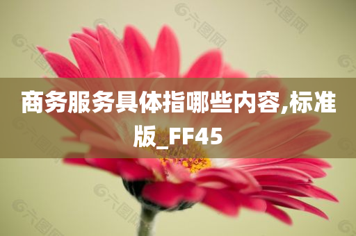 商务服务具体指哪些内容,标准版_FF45